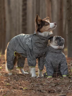 Отзывы на Боди Catharsis 202036707 в интернет‑магазине Wildberries.ru